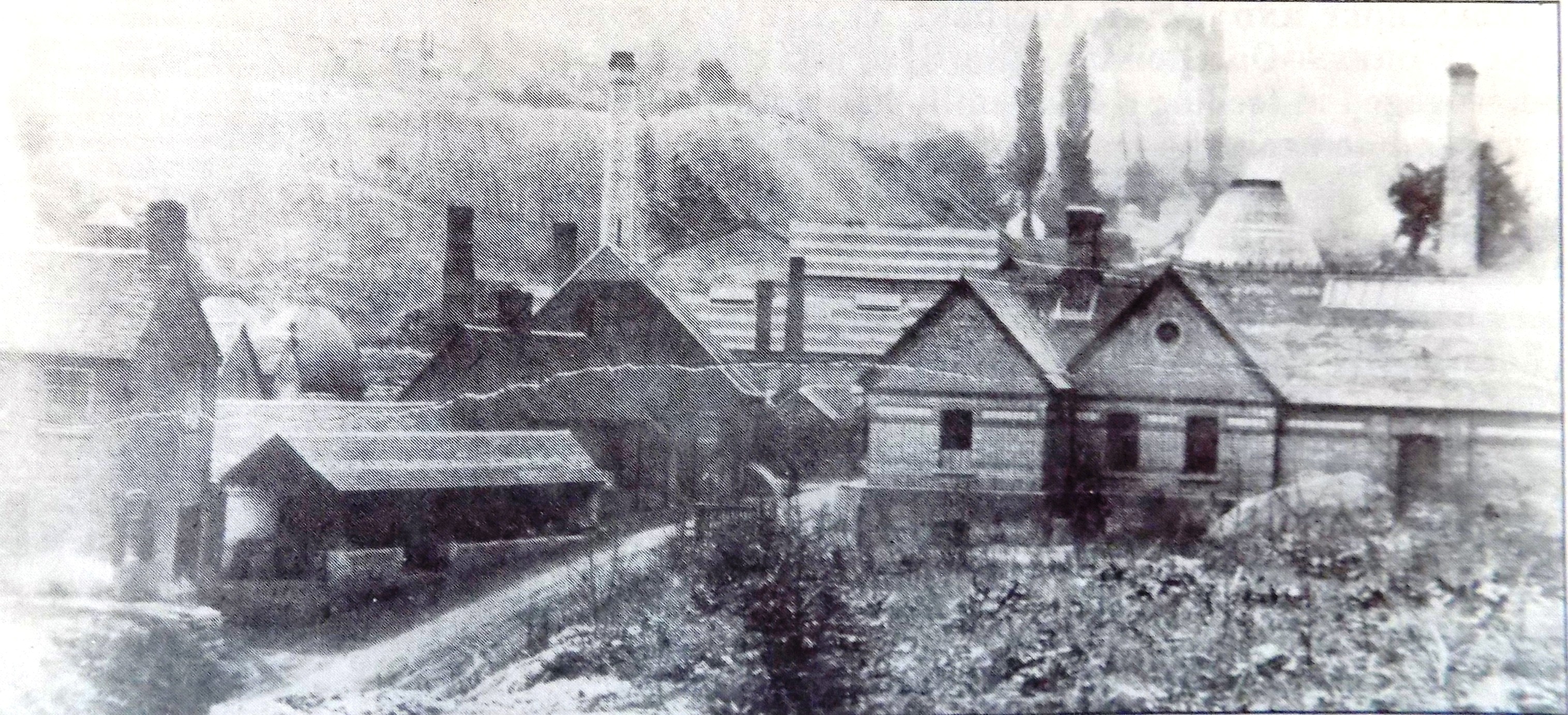The Maws factory history