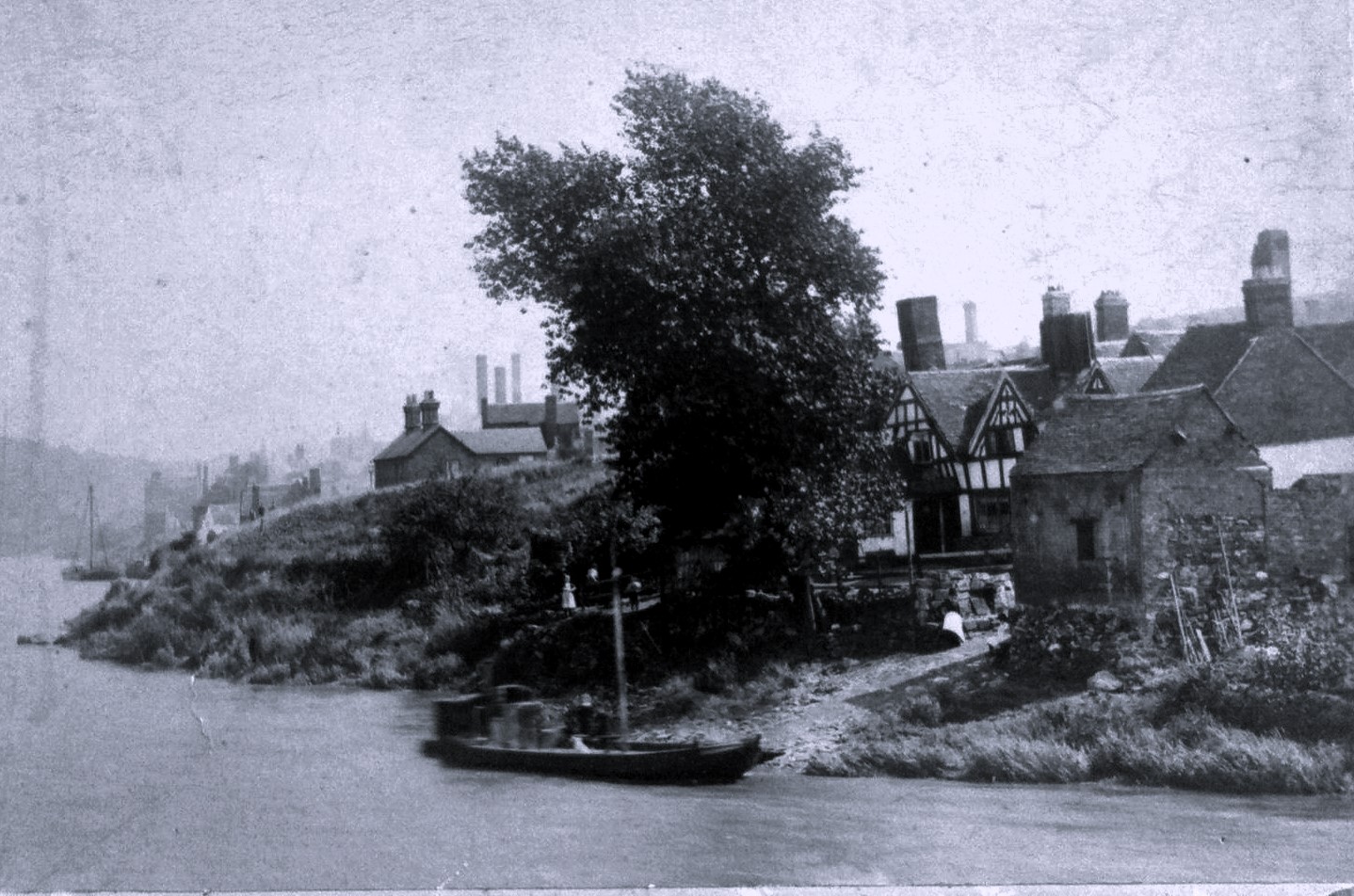 The ferry and the great tree