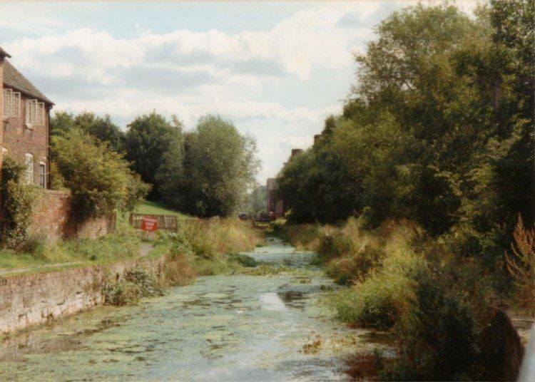 The overgrown canal channel before restoration