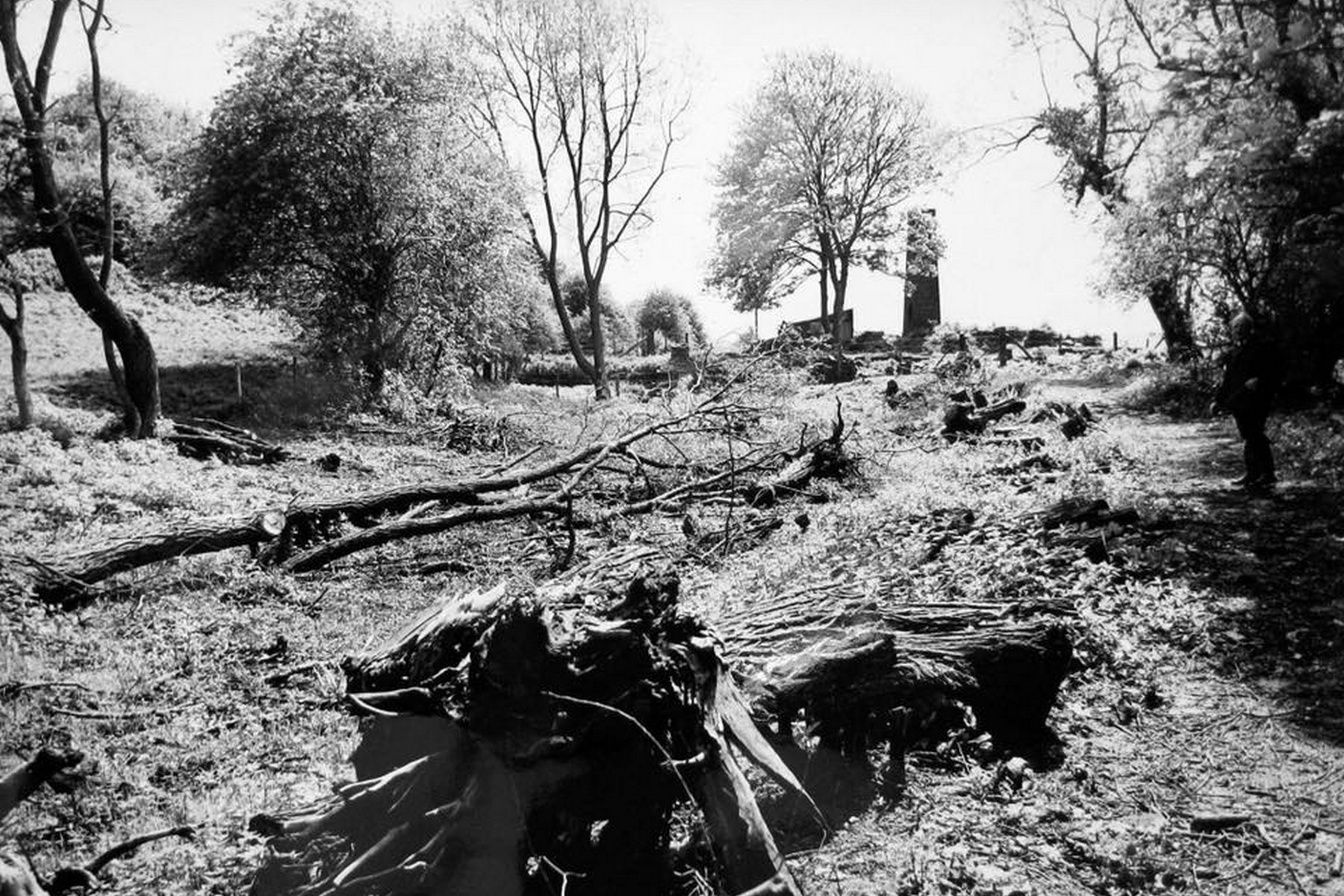 Clearance work on the overgrown incline, undertaken through the 1960s and 70s, shows just how much had to happen before any rail could even be found: scrub was cut back entirely by hand, slope by slope, revealing the stone-walled channel beneath decades of neglect. This unglamorous labour was the true first step of the incline's revival.